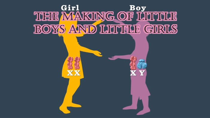 Little boys and little girls