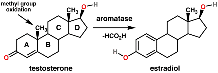 Testosterone_estradiol